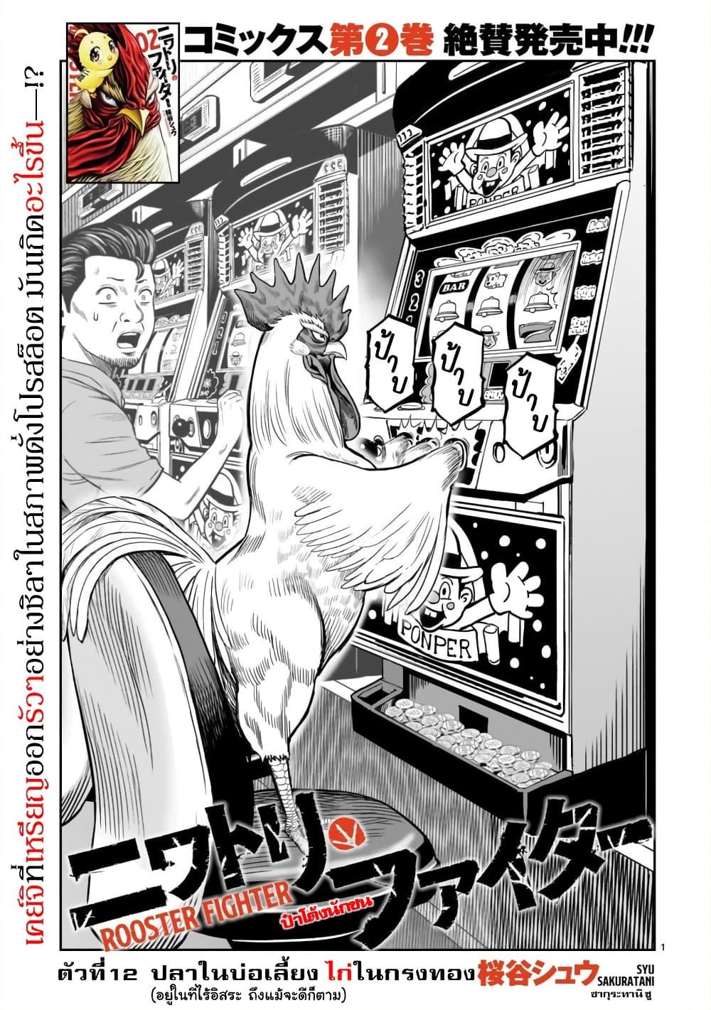 Manga-lc-com อ่านมังงะ อ่านการ์ตูน ออนไลน์ ฟรี Rooster Fighter ตอนที่ 1 2 3 4 5 6 7 8 9 10 11 12 13 14 ฟรี ไม่มีโฆษณา Manga-lc - อ่าน มังงะ อ่าน การ์ตูน ออนไลน์ อ่านมังงะ ฟรี