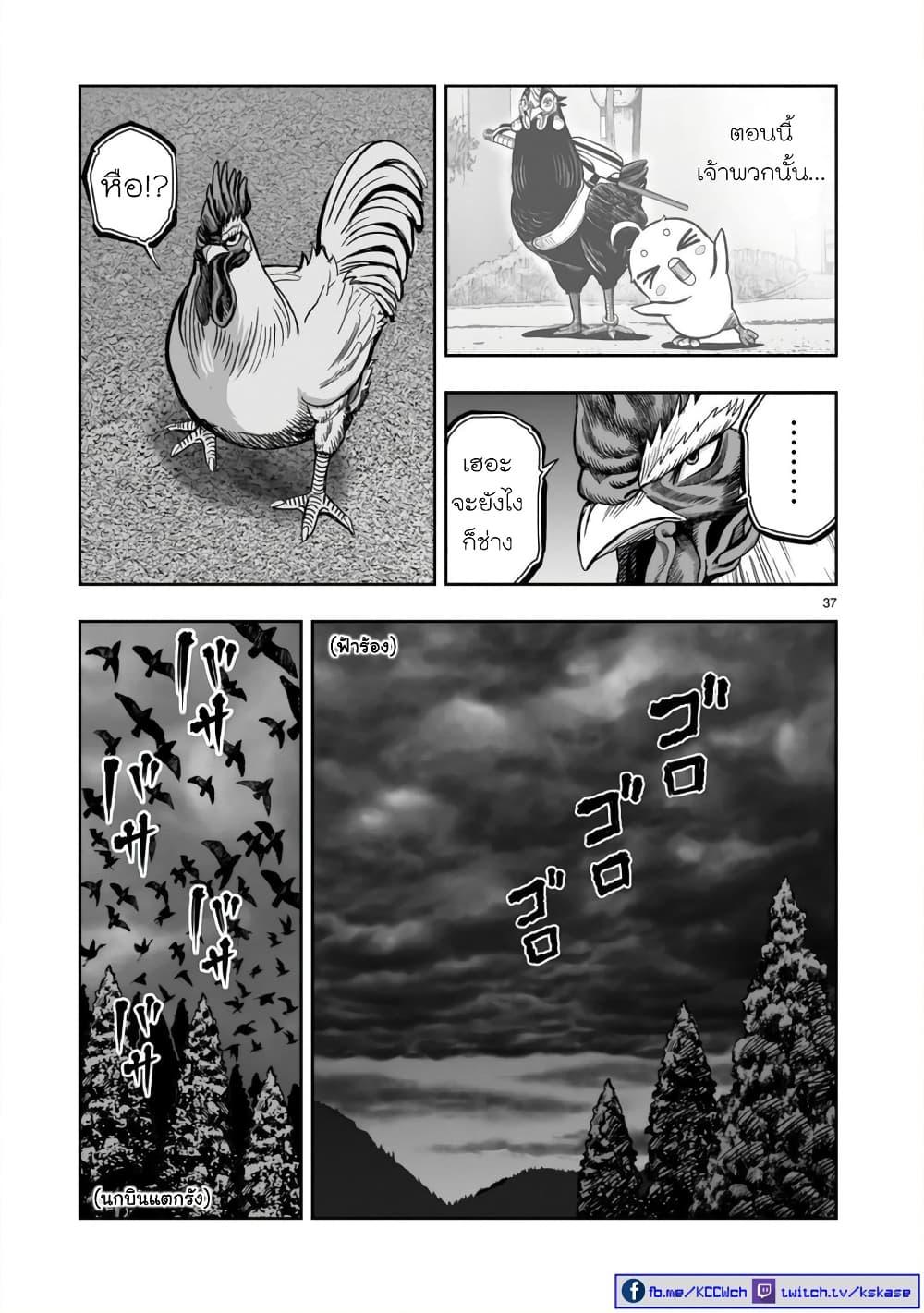 Manga-lc-com อ่านมังงะ อ่านการ์ตูน ออนไลน์ ฟรี Rooster Fighter ตอนที่ 1 2 3 4 5 6 7 8 9 10 11 12 13 14 ฟรี ไม่มีโฆษณา Manga-lc - อ่าน มังงะ อ่าน การ์ตูน ออนไลน์ อ่านมังงะ ฟรี