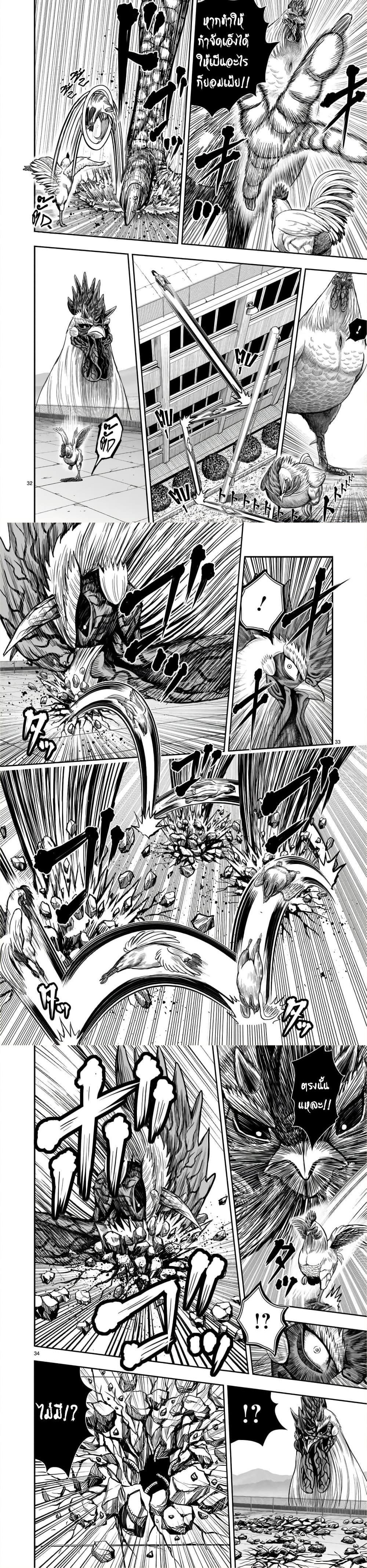 Manga-lc-com อ่านมังงะ อ่านการ์ตูน ออนไลน์ ฟรี Rooster Fighter ตอนที่ 1 2 3 4 5 6 7 8 9 10 11 12 13 14 ฟรี ไม่มีโฆษณา Manga-lc - อ่าน มังงะ อ่าน การ์ตูน ออนไลน์ อ่านมังงะ ฟรี