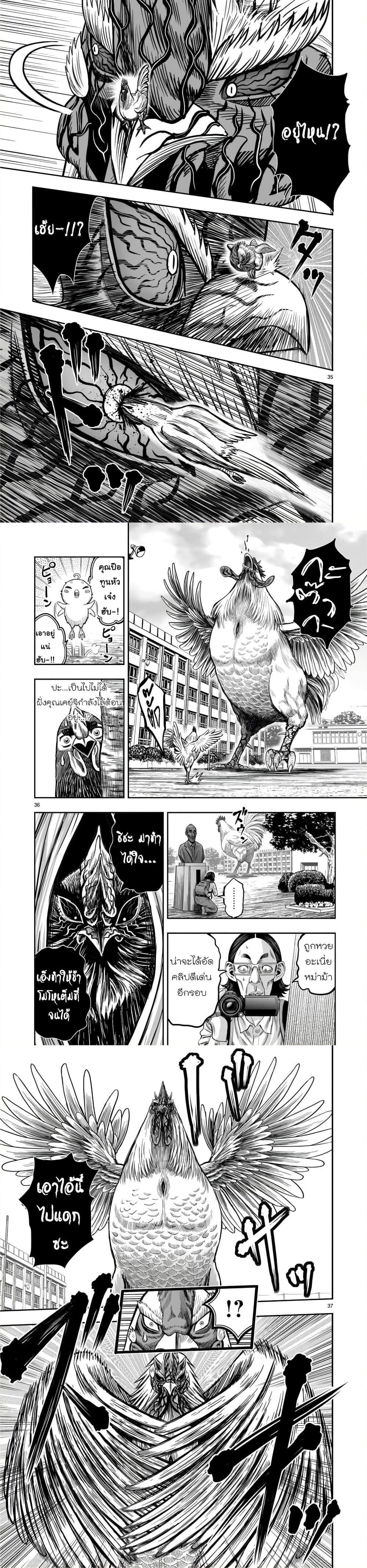 Manga-lc-com อ่านมังงะ อ่านการ์ตูน ออนไลน์ ฟรี Rooster Fighter ตอนที่ 1 2 3 4 5 6 7 8 9 10 11 12 13 14 ฟรี ไม่มีโฆษณา Manga-lc - อ่าน มังงะ อ่าน การ์ตูน ออนไลน์ อ่านมังงะ ฟรี