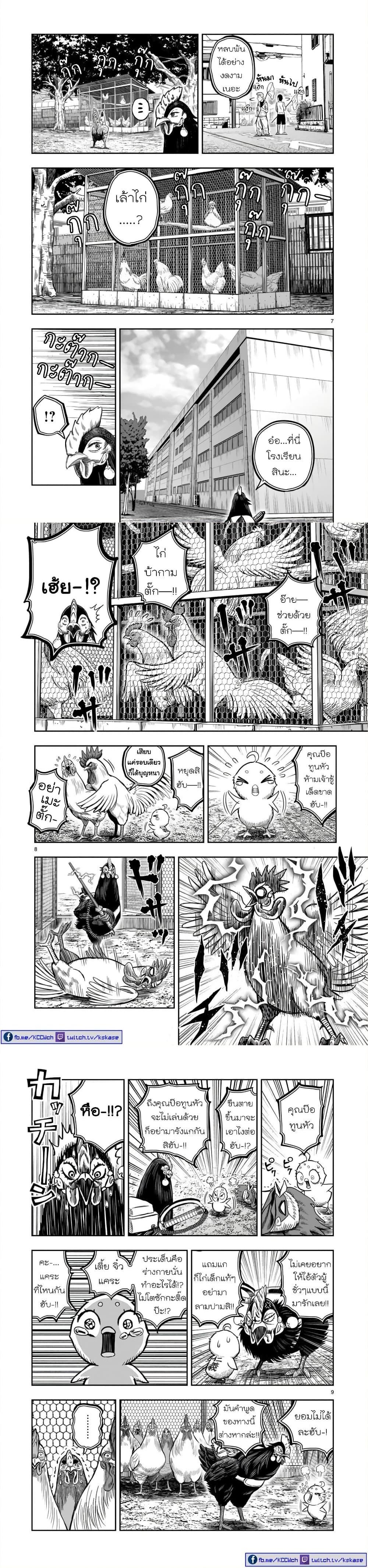 Manga-lc-com อ่านมังงะ อ่านการ์ตูน ออนไลน์ ฟรี Rooster Fighter ตอนที่ 1 2 3 4 5 6 7 8 9 10 11 12 13 14 ฟรี ไม่มีโฆษณา Manga-lc - อ่าน มังงะ อ่าน การ์ตูน ออนไลน์ อ่านมังงะ ฟรี