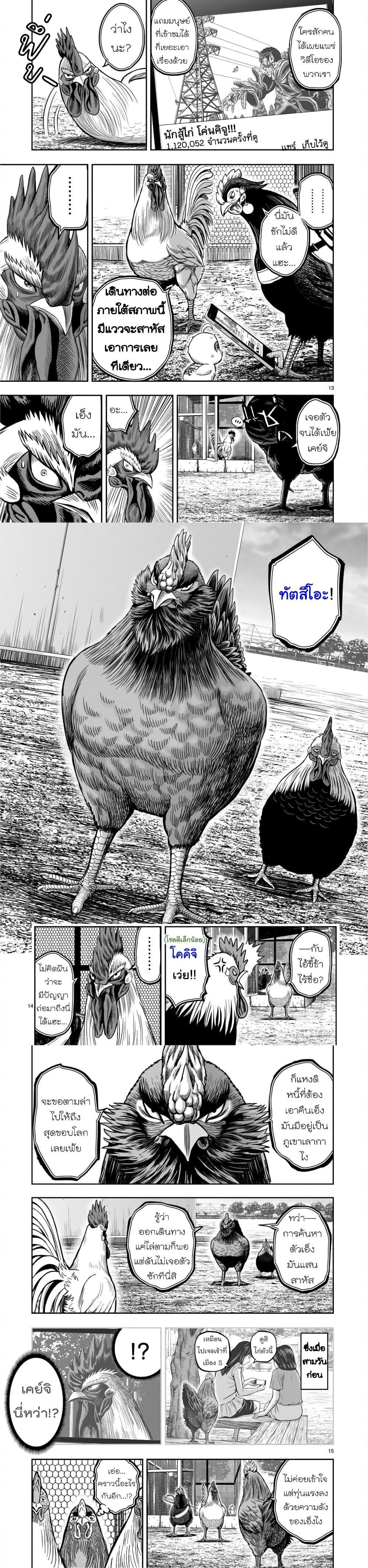 Manga-lc-com อ่านมังงะ อ่านการ์ตูน ออนไลน์ ฟรี Rooster Fighter ตอนที่ 1 2 3 4 5 6 7 8 9 10 11 12 13 14 ฟรี ไม่มีโฆษณา Manga-lc - อ่าน มังงะ อ่าน การ์ตูน ออนไลน์ อ่านมังงะ ฟรี