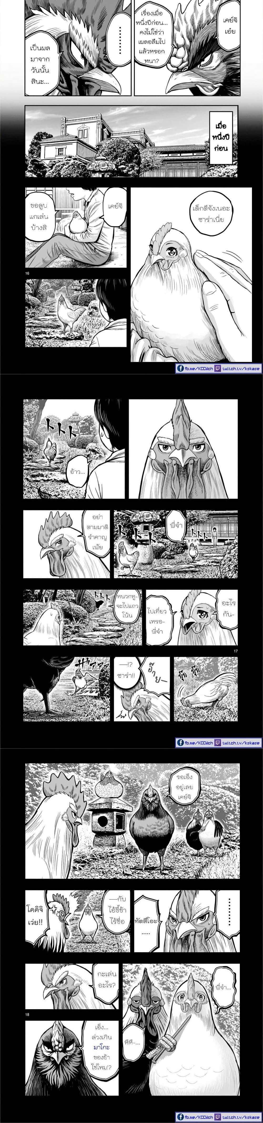 Manga-lc-com อ่านมังงะ อ่านการ์ตูน ออนไลน์ ฟรี Rooster Fighter ตอนที่ 1 2 3 4 5 6 7 8 9 10 11 12 13 14 ฟรี ไม่มีโฆษณา Manga-lc - อ่าน มังงะ อ่าน การ์ตูน ออนไลน์ อ่านมังงะ ฟรี