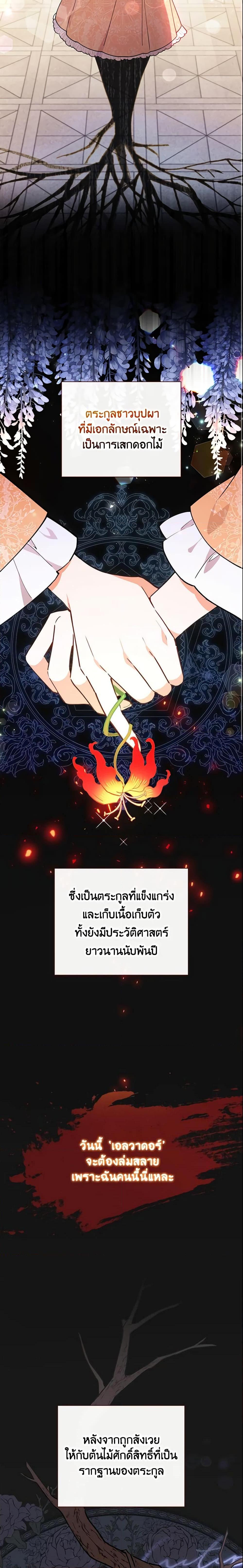 Manga-lc-com อ่านมังงะ อ่านการ์ตูน ออนไลน์ ฟรี The Little Lady Who Makes Flowers Bloom ตอนที่ 1 2 3 4 5 6 7 8 9 10 11 12 13 14 ฟรี ไม่มีโฆษณา Manga-lc - อ่าน มังงะ อ่าน การ์ตูน ออนไลน์ อ่านมังงะ ฟรี