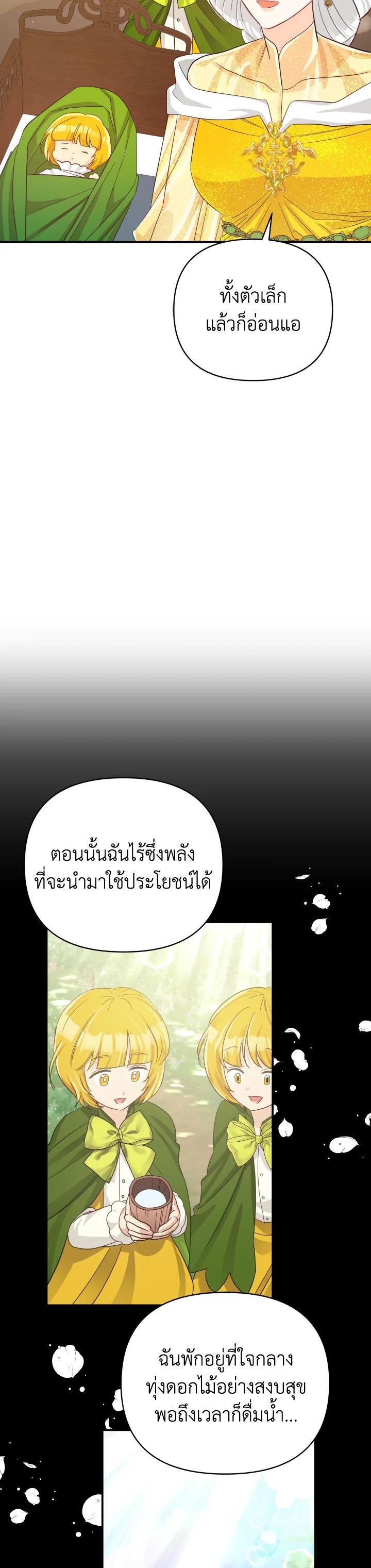 Manga-lc-com อ่านมังงะ อ่านการ์ตูน ออนไลน์ ฟรี Terrarium Adventure ตอนที่ 1 2 3 4 5 6 7 8 9 10 11 12 13 14 ฟรี ไม่มีโฆษณา Manga-lc - อ่าน มังงะ อ่าน การ์ตูน ออนไลน์ อ่านมังงะ ฟรี