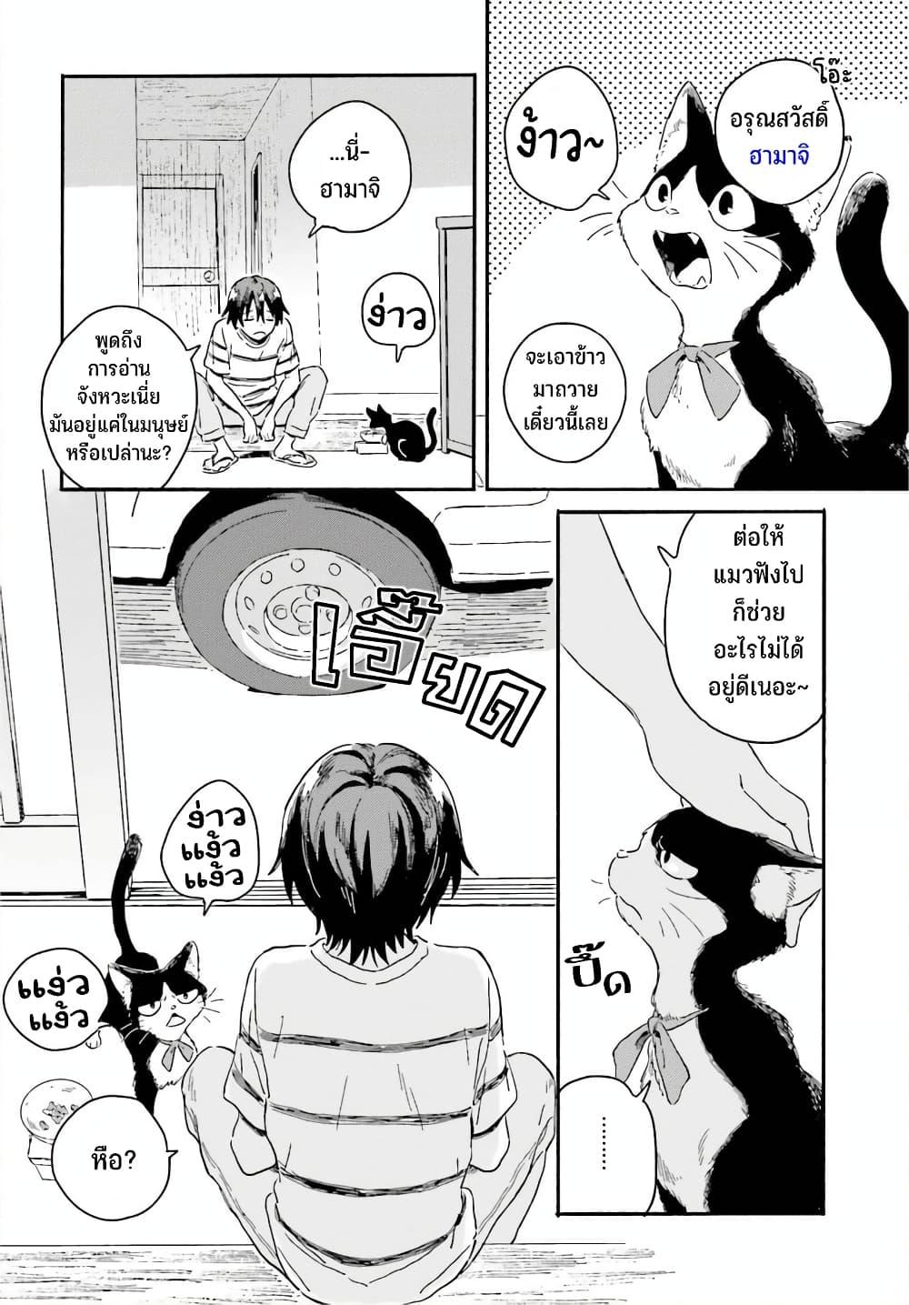 Manga-lc-com อ่านมังงะ อ่านการ์ตูน ออนไลน์ ฟรี Nagisa no Shark Maid ตอนที่ 1 2 3 4 5 6 7 8 9 10 11 12 13 14 ฟรี ไม่มีโฆษณา Manga-lc - อ่าน มังงะ อ่าน การ์ตูน ออนไลน์ อ่านมังงะ ฟรี