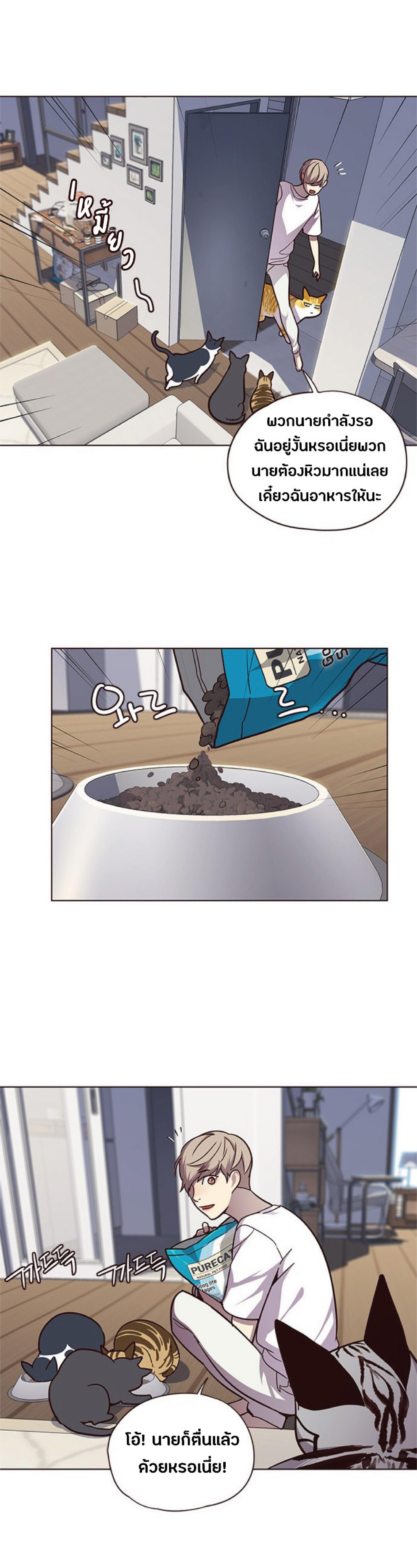 Manga-lc-com อ่านมังงะ อ่านการ์ตูน ออนไลน์ ฟรี Eleceed ตอนที่ 1 2 3 4 5 6 7 8 9 10 11 12 13 14 ฟรี ไม่มีโฆษณา Manga-lc - อ่าน มังงะ อ่าน การ์ตูน ออนไลน์ อ่านมังงะ ฟรี