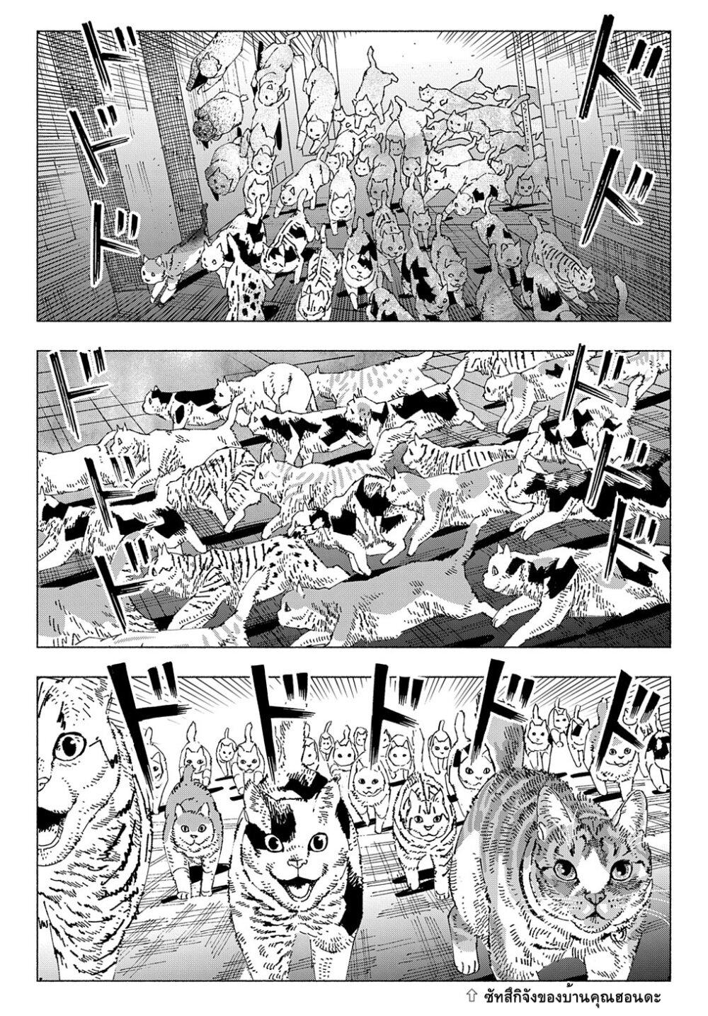 Manga-lc-com อ่านมังงะ อ่านการ์ตูน ออนไลน์ ฟรี Nyaight of the Living Cat ตอนที่ 1 2 3 4 5 6 7 8 9 10 11 12 13 14 ฟรี ไม่มีโฆษณา Manga-lc - อ่าน มังงะ อ่าน การ์ตูน ออนไลน์ อ่านมังงะ ฟรี