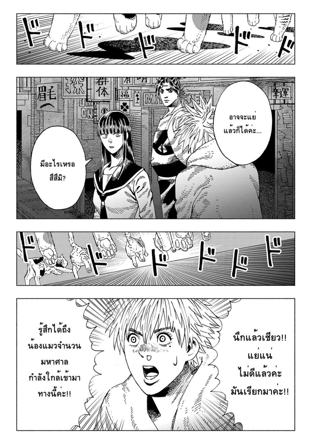 Manga-lc-com อ่านมังงะ อ่านการ์ตูน ออนไลน์ ฟรี Nyaight of the Living Cat ตอนที่ 1 2 3 4 5 6 7 8 9 10 11 12 13 14 ฟรี ไม่มีโฆษณา Manga-lc - อ่าน มังงะ อ่าน การ์ตูน ออนไลน์ อ่านมังงะ ฟรี