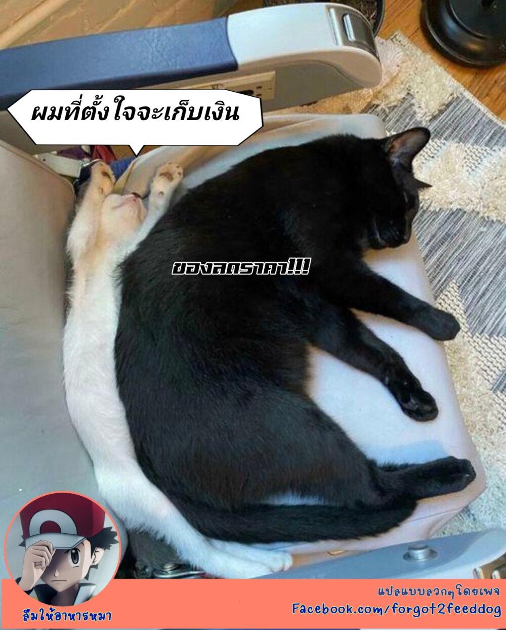 Manga-lc-com อ่านมังงะ อ่านการ์ตูน ออนไลน์ ฟรี Itomo Tayasuku Okonawareru Juusansai ga Ikiru Tame no Oshigoto ตอนที่ 1 2 3 4 5 6 7 8 9 10 11 12 13 14 ฟรี ไม่มีโฆษณา Manga-lc - อ่าน มังงะ อ่าน การ์ตูน ออนไลน์ อ่านมังงะ ฟรี