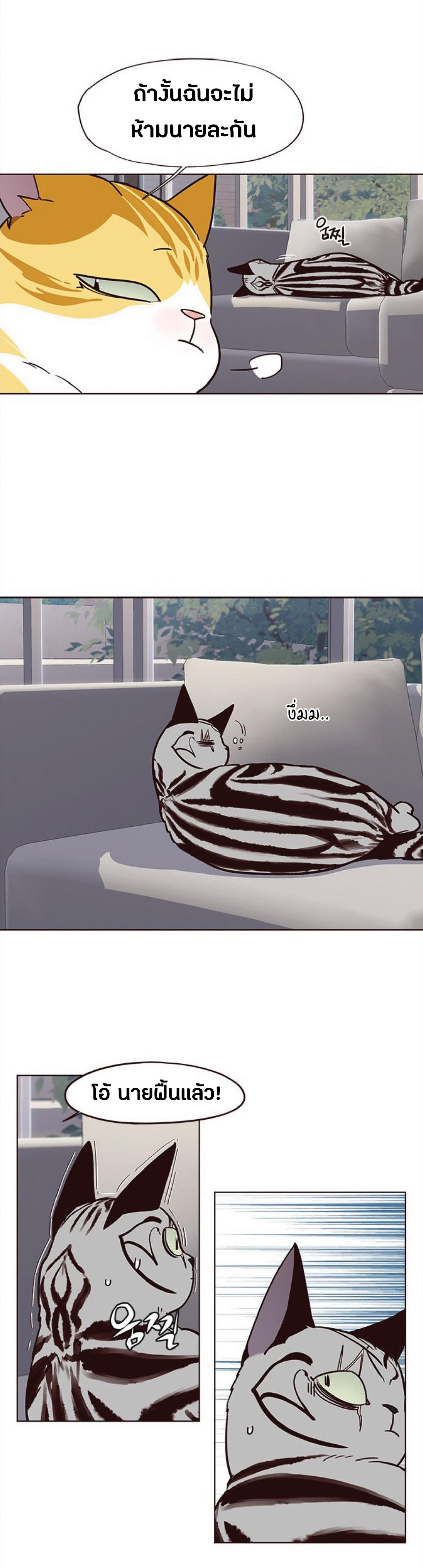 Manga-lc-com อ่านมังงะ อ่านการ์ตูน ออนไลน์ ฟรี Eleceed ตอนที่ 1 2 3 4 5 6 7 8 9 10 11 12 13 14 ฟรี ไม่มีโฆษณา Manga-lc - อ่าน มังงะ อ่าน การ์ตูน ออนไลน์ อ่านมังงะ ฟรี