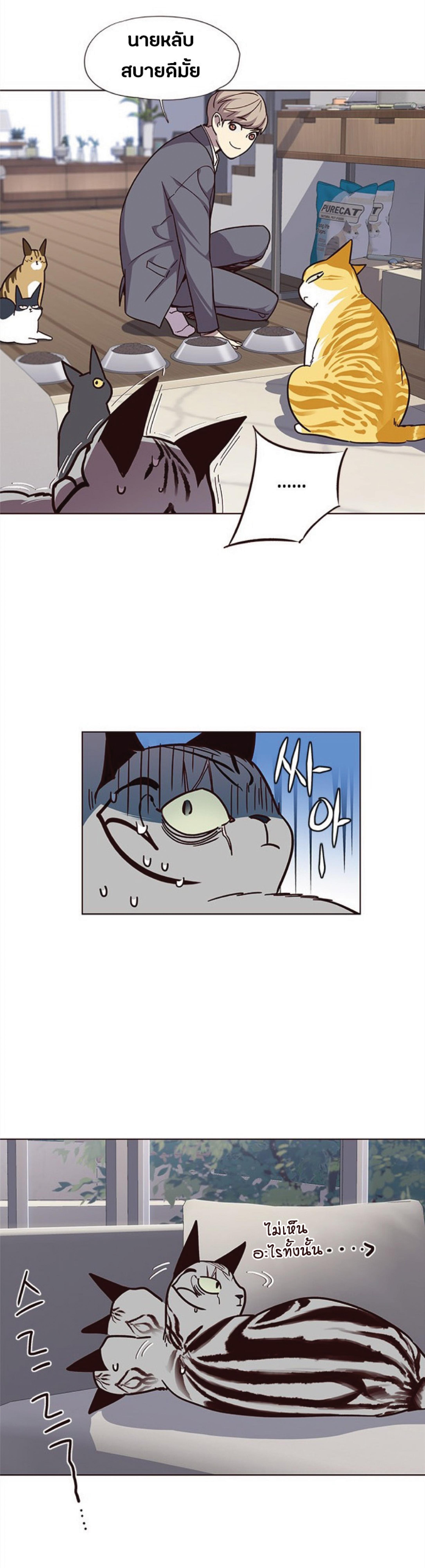 Manga-lc-com อ่านมังงะ อ่านการ์ตูน ออนไลน์ ฟรี Eleceed ตอนที่ 1 2 3 4 5 6 7 8 9 10 11 12 13 14 ฟรี ไม่มีโฆษณา Manga-lc - อ่าน มังงะ อ่าน การ์ตูน ออนไลน์ อ่านมังงะ ฟรี