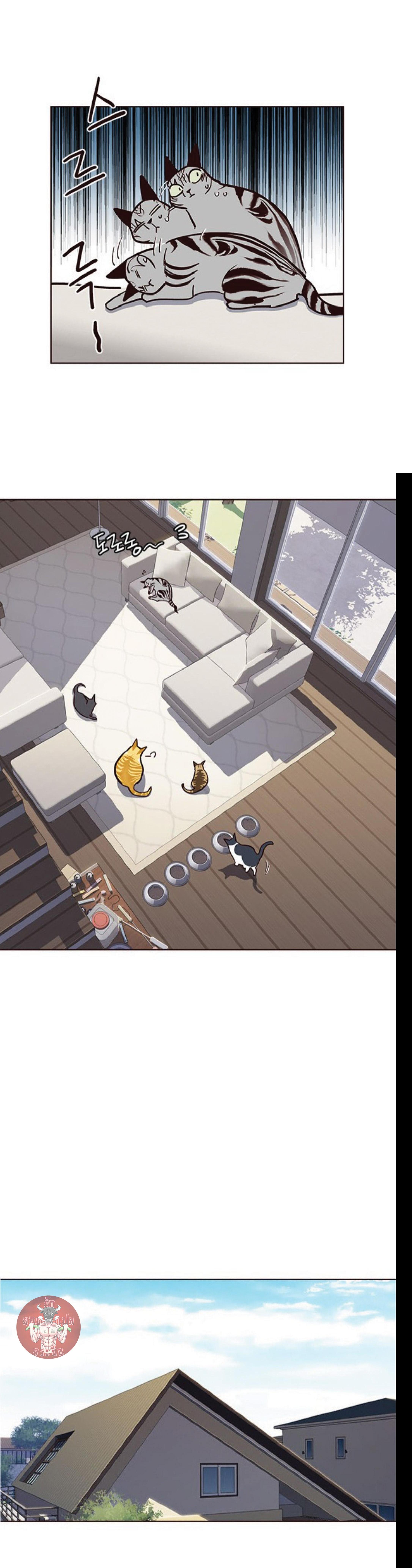 Manga-lc-com อ่านมังงะ อ่านการ์ตูน ออนไลน์ ฟรี Eleceed ตอนที่ 1 2 3 4 5 6 7 8 9 10 11 12 13 14 ฟรี ไม่มีโฆษณา Manga-lc - อ่าน มังงะ อ่าน การ์ตูน ออนไลน์ อ่านมังงะ ฟรี