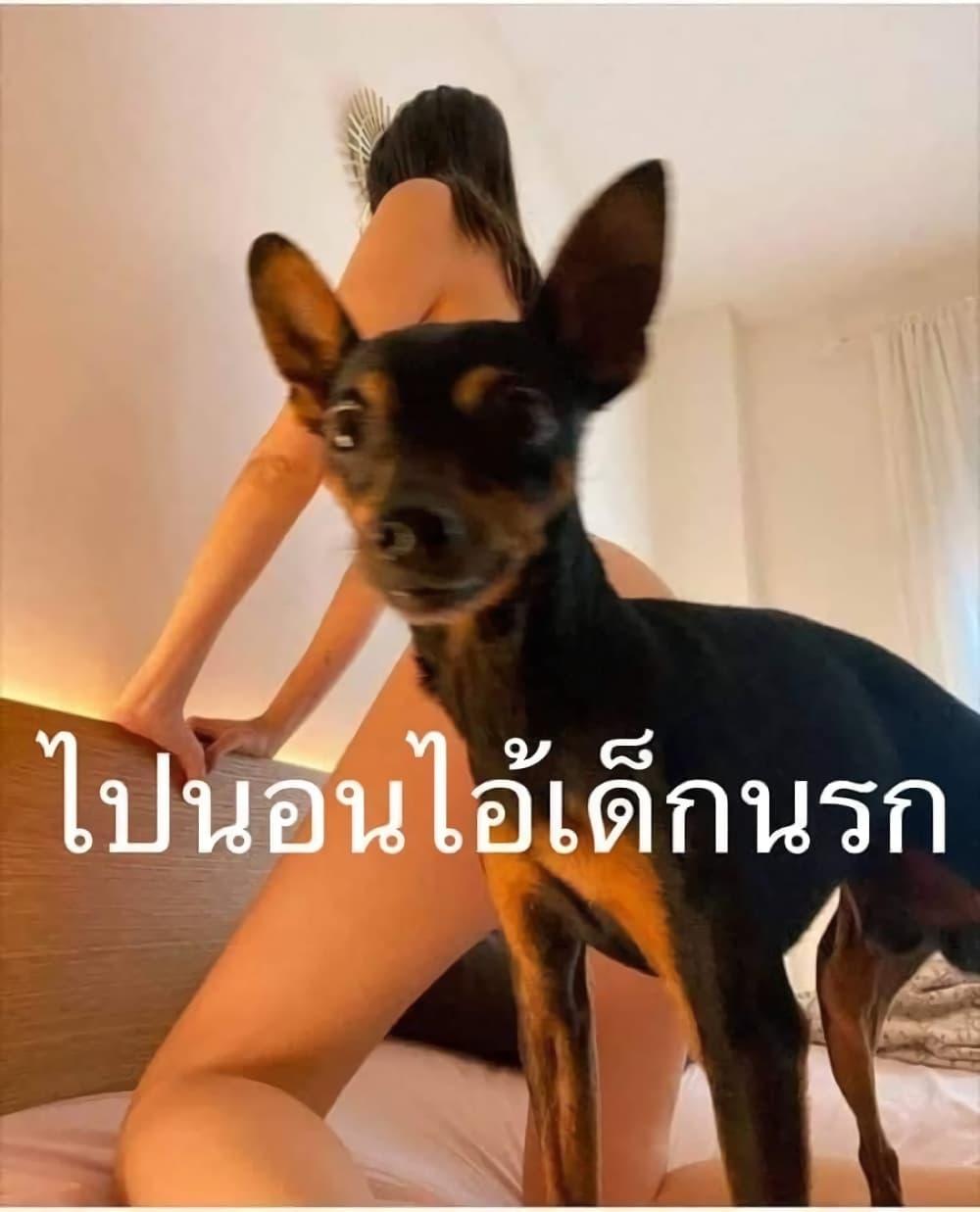 Manga-lc-com อ่านมังงะ อ่านการ์ตูน ออนไลน์ ฟรี Strongest Leveling ตอนที่ 1 2 3 4 5 6 7 8 9 10 11 12 13 14 ฟรี ไม่มีโฆษณา Manga-lc - อ่าน มังงะ อ่าน การ์ตูน ออนไลน์ อ่านมังงะ ฟรี