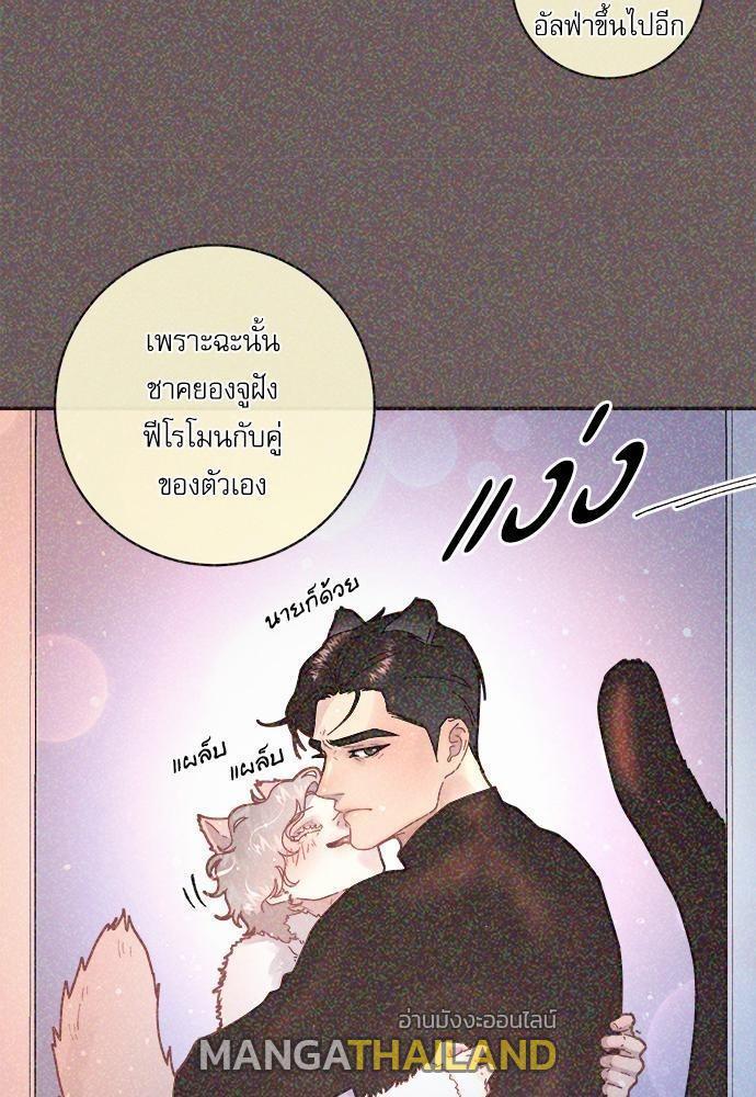 Doujin-Lc- อ่าน โดจิน มังฮวา เกาหลี ญี่ปุ่น จีน แปลไทย จีบหัวใจนายอัลฟ่า ตอนที่ 1 2 3 4 5 6 7 8 9 10 11 12 13 14 ฟรี ไม่มีโฆษณา อ่าน โดจิน Manhwa เกาหลี ญี่ปุ่น จีน เรามีครบ คัดมาให้เน้นๆ โดจิน 18+ รับประกันความฟินโดย  Doujin Lc