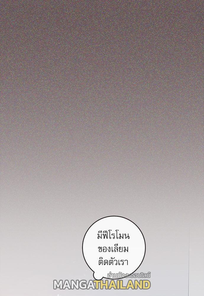 Doujin-Lc- อ่าน โดจิน มังฮวา เกาหลี ญี่ปุ่น จีน แปลไทย จีบหัวใจนายอัลฟ่า ตอนที่ 1 2 3 4 5 6 7 8 9 10 11 12 13 14 ฟรี ไม่มีโฆษณา อ่าน โดจิน Manhwa เกาหลี ญี่ปุ่น จีน เรามีครบ คัดมาให้เน้นๆ โดจิน 18+ รับประกันความฟินโดย  Doujin Lc