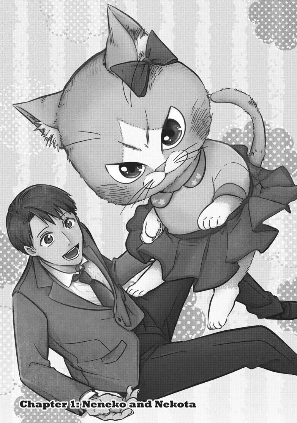 Manga-lc-com อ่านมังงะ อ่านการ์ตูน ออนไลน์ ฟรี My Sister, the Cat ตอนที่ 1 2 3 4 5 6 7 8 9 10 11 12 13 14 ฟรี ไม่มีโฆษณา Manga-lc - อ่าน มังงะ อ่าน การ์ตูน ออนไลน์ อ่านมังงะ ฟรี