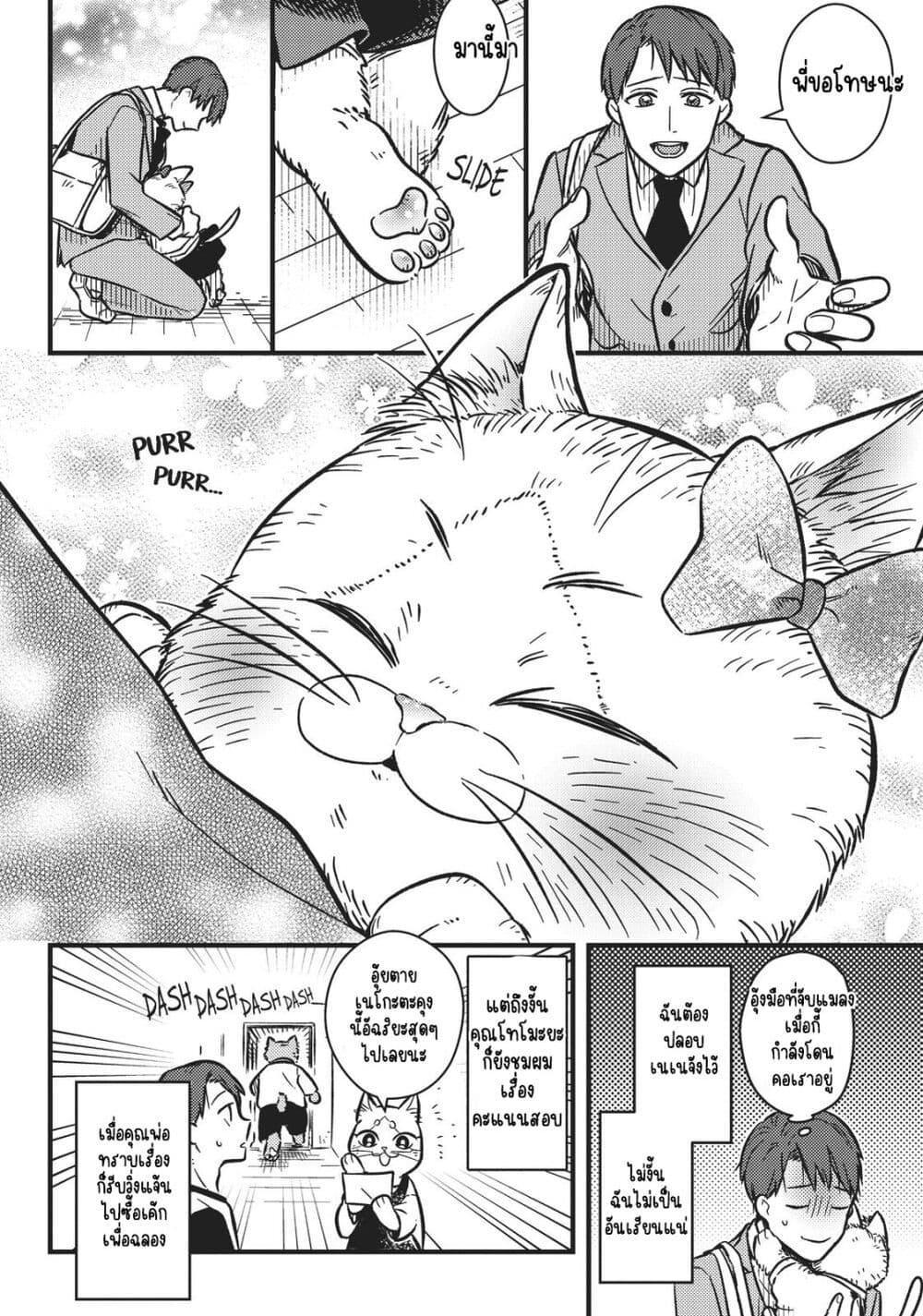 Manga-lc-com อ่านมังงะ อ่านการ์ตูน ออนไลน์ ฟรี My Sister, the Cat ตอนที่ 1 2 3 4 5 6 7 8 9 10 11 12 13 14 ฟรี ไม่มีโฆษณา Manga-lc - อ่าน มังงะ อ่าน การ์ตูน ออนไลน์ อ่านมังงะ ฟรี