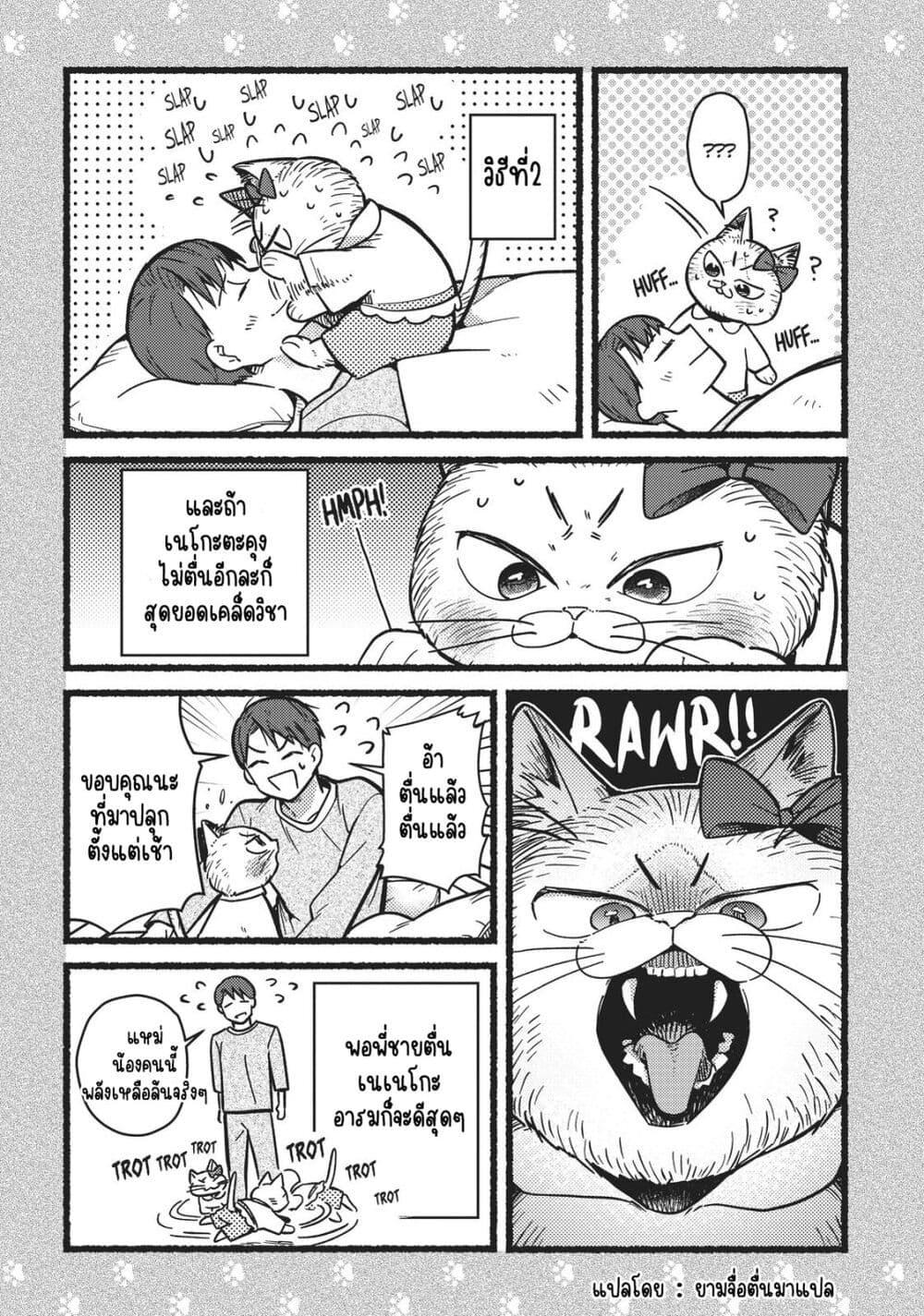 Manga-lc-com อ่านมังงะ อ่านการ์ตูน ออนไลน์ ฟรี My Sister, the Cat ตอนที่ 1 2 3 4 5 6 7 8 9 10 11 12 13 14 ฟรี ไม่มีโฆษณา Manga-lc - อ่าน มังงะ อ่าน การ์ตูน ออนไลน์ อ่านมังงะ ฟรี