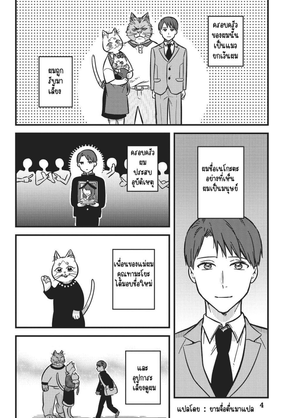 Manga-lc-com อ่านมังงะ อ่านการ์ตูน ออนไลน์ ฟรี My Sister, the Cat ตอนที่ 1 2 3 4 5 6 7 8 9 10 11 12 13 14 ฟรี ไม่มีโฆษณา Manga-lc - อ่าน มังงะ อ่าน การ์ตูน ออนไลน์ อ่านมังงะ ฟรี