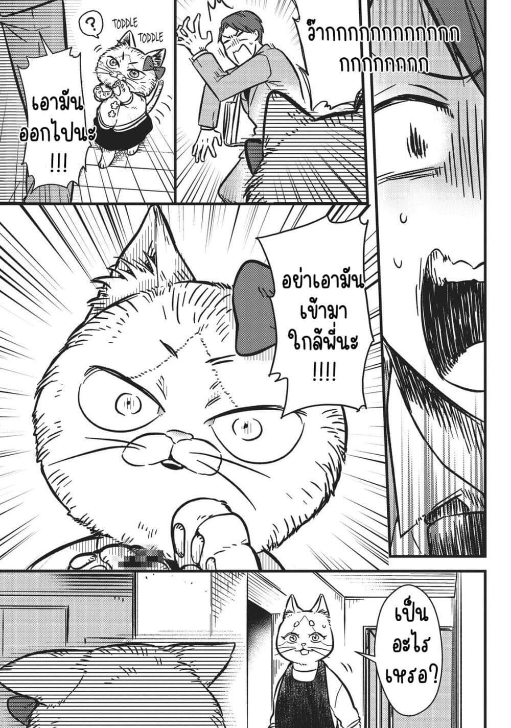 Manga-lc-com อ่านมังงะ อ่านการ์ตูน ออนไลน์ ฟรี My Sister, the Cat ตอนที่ 1 2 3 4 5 6 7 8 9 10 11 12 13 14 ฟรี ไม่มีโฆษณา Manga-lc - อ่าน มังงะ อ่าน การ์ตูน ออนไลน์ อ่านมังงะ ฟรี