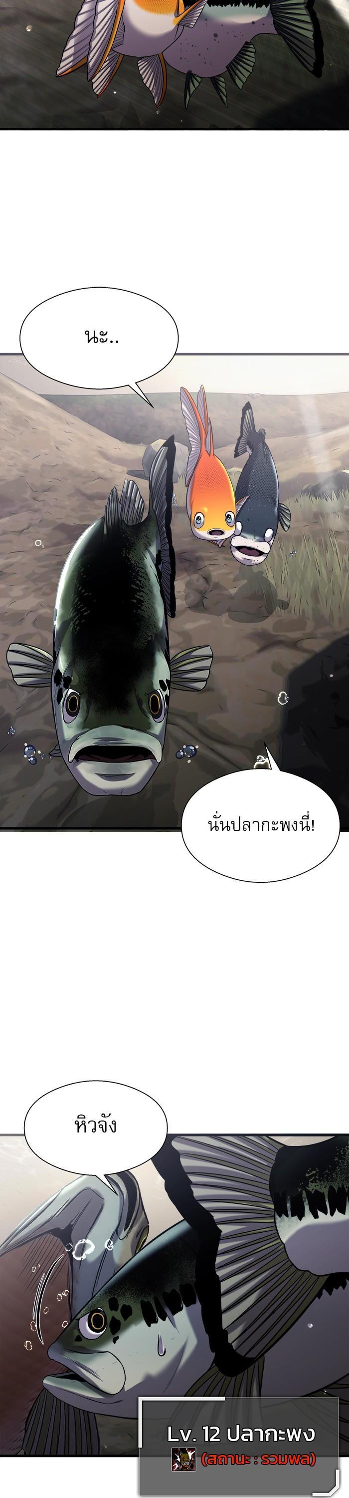 Manga-lc-com อ่านมังงะ อ่านการ์ตูน ออนไลน์ ฟรี Surviving As a Fish ตอนที่ 1 2 3 4 5 6 7 8 9 10 11 12 13 14 ฟรี ไม่มีโฆษณา Manga-lc - อ่าน มังงะ อ่าน การ์ตูน ออนไลน์ อ่านมังงะ ฟรี