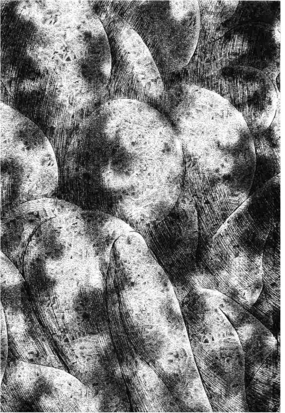 Manga-lc-com อ่านมังงะ อ่านการ์ตูน ออนไลน์ ฟรี Berserk ตอนที่ 1 2 3 4 5 6 7 8 9 10 11 12 13 14 ฟรี ไม่มีโฆษณา Manga-lc - อ่าน มังงะ อ่าน การ์ตูน ออนไลน์ อ่านมังงะ ฟรี