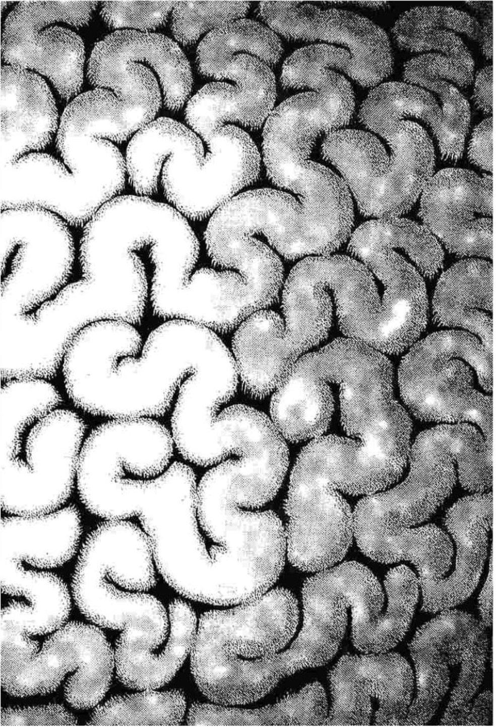 Manga-lc-com อ่านมังงะ อ่านการ์ตูน ออนไลน์ ฟรี Berserk ตอนที่ 1 2 3 4 5 6 7 8 9 10 11 12 13 14 ฟรี ไม่มีโฆษณา Manga-lc - อ่าน มังงะ อ่าน การ์ตูน ออนไลน์ อ่านมังงะ ฟรี