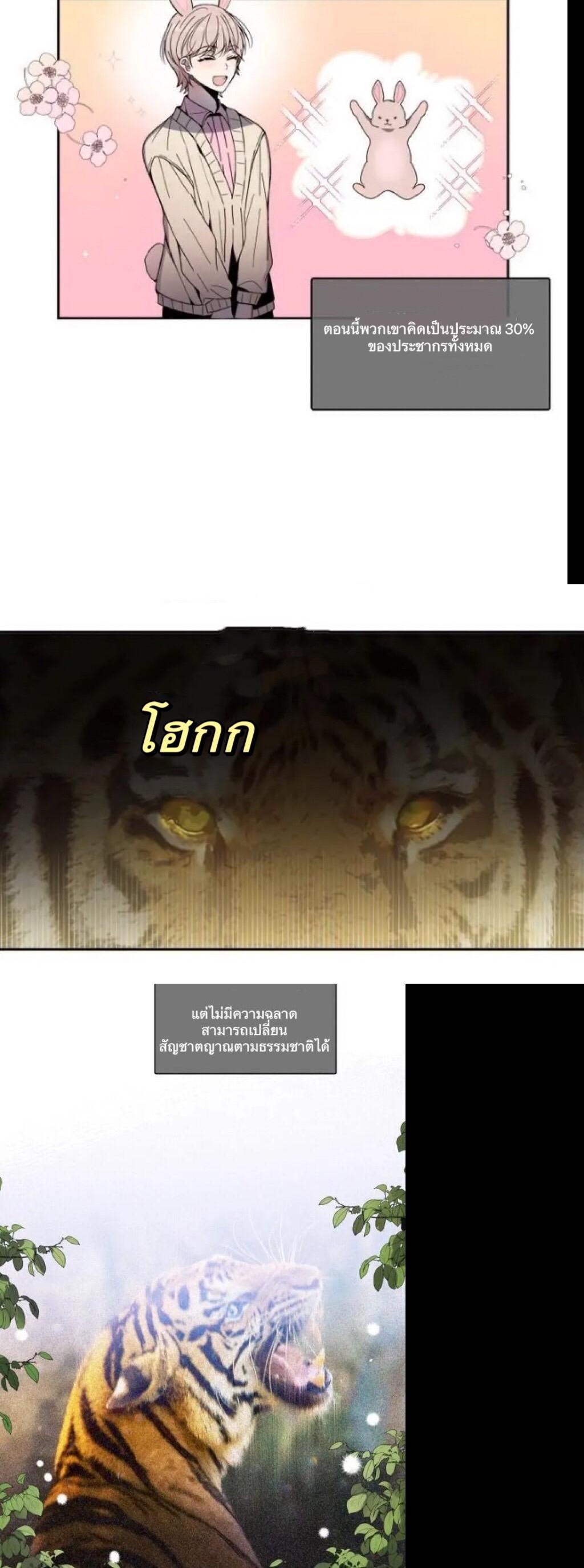 Manga-lc-com อ่านมังงะ อ่านการ์ตูน ออนไลน์ ฟรี Animal Idols ตอนที่ 1 2 3 4 5 6 7 8 9 10 11 12 13 14 ฟรี ไม่มีโฆษณา Manga-lc - อ่าน มังงะ อ่าน การ์ตูน ออนไลน์ อ่านมังงะ ฟรี