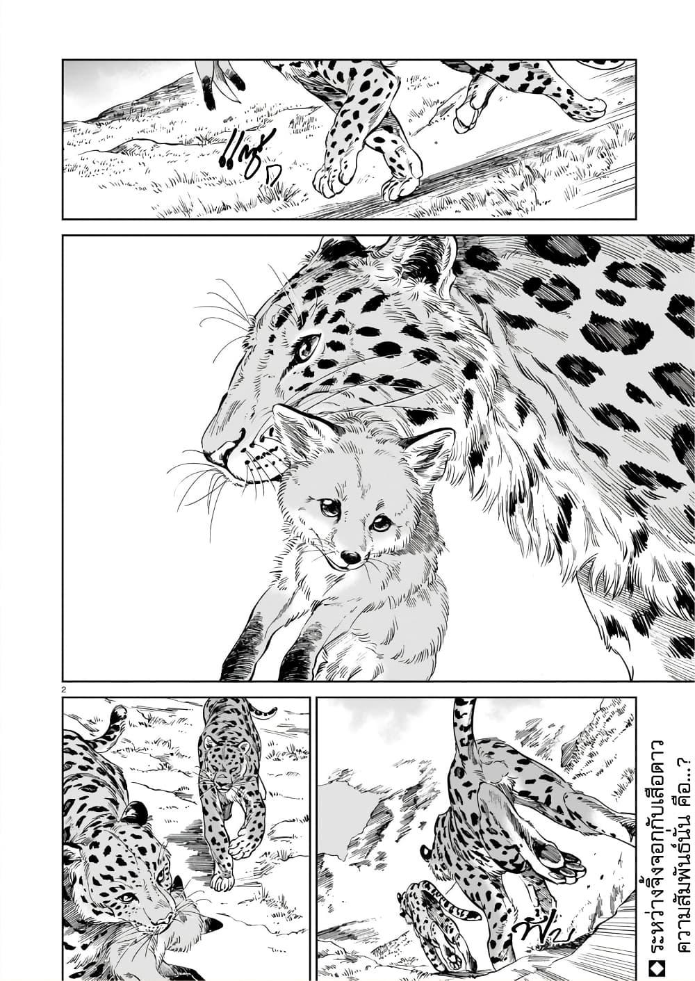 Manga-lc-com อ่านมังงะ อ่านการ์ตูน ออนไลน์ ฟรี Tora ha Ryuu wo mada Tabenai ตอนที่ 1 2 3 4 5 6 7 8 9 10 11 12 13 14 ฟรี ไม่มีโฆษณา Manga-lc - อ่าน มังงะ อ่าน การ์ตูน ออนไลน์ อ่านมังงะ ฟรี