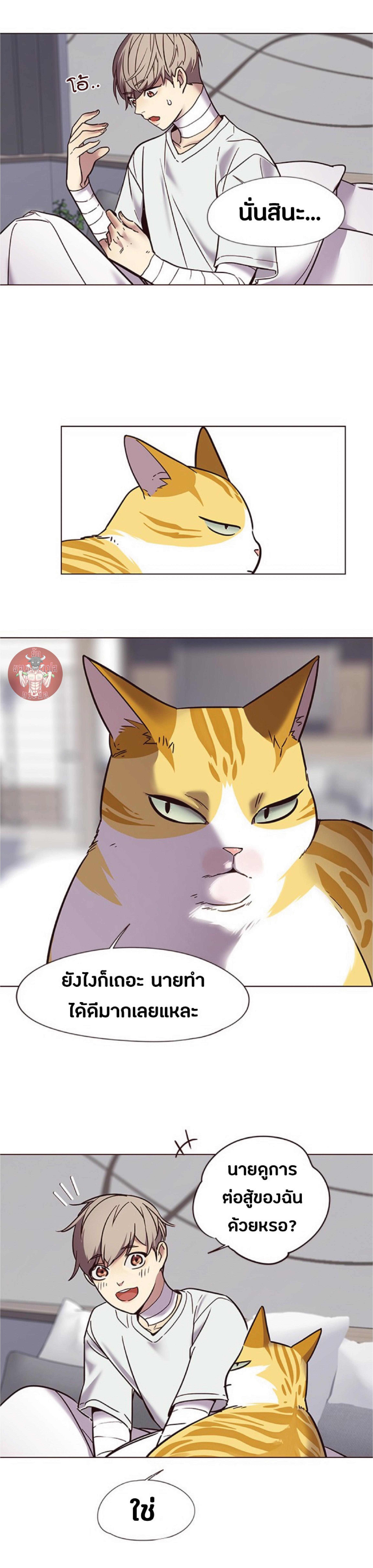 Manga-lc-com อ่านมังงะ อ่านการ์ตูน ออนไลน์ ฟรี Eleceed ตอนที่ 1 2 3 4 5 6 7 8 9 10 11 12 13 14 ฟรี ไม่มีโฆษณา Manga-lc - อ่าน มังงะ อ่าน การ์ตูน ออนไลน์ อ่านมังงะ ฟรี