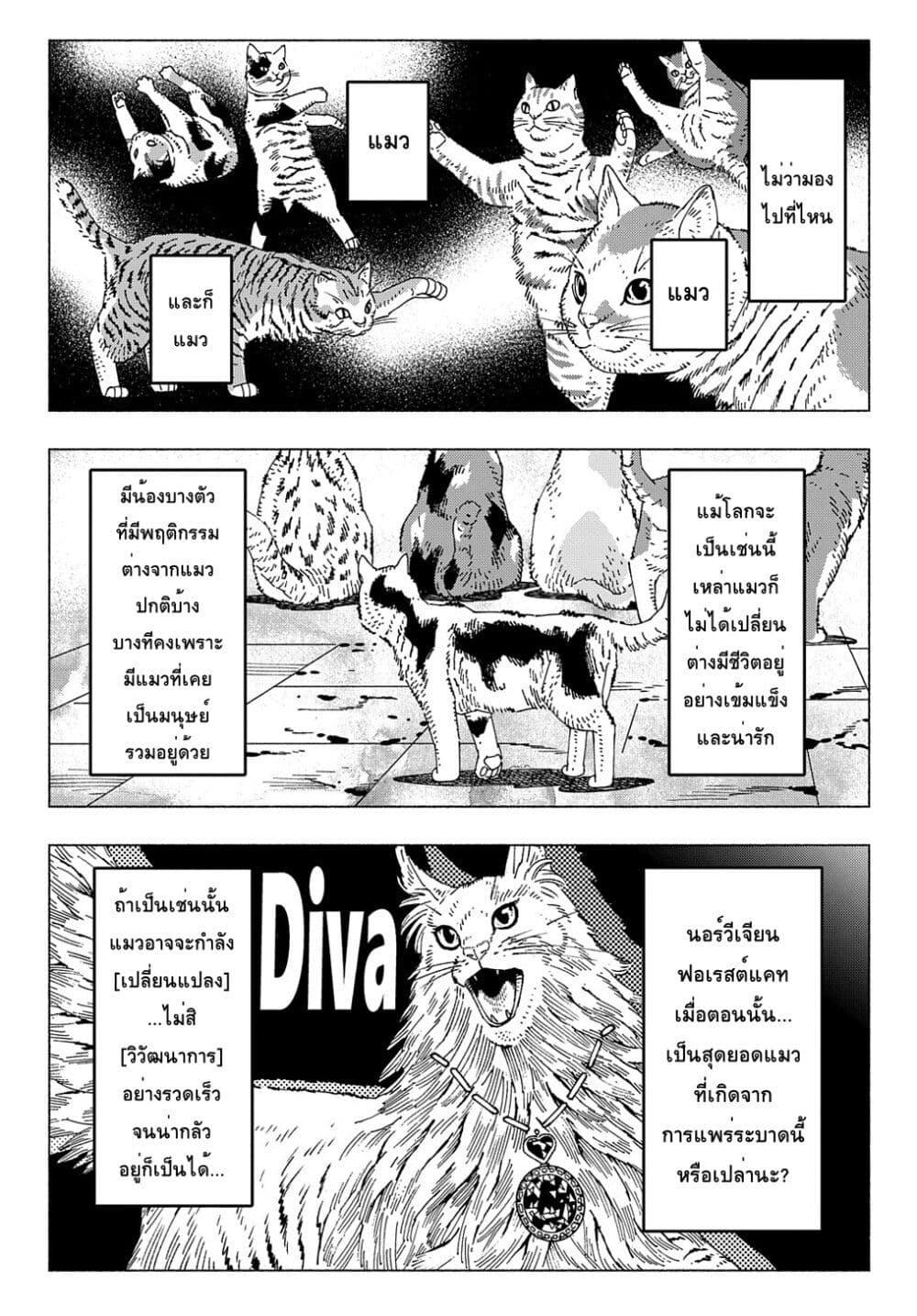 Manga-lc-com อ่านมังงะ อ่านการ์ตูน ออนไลน์ ฟรี Nyaight of the Living Cat ตอนที่ 1 2 3 4 5 6 7 8 9 10 11 12 13 14 ฟรี ไม่มีโฆษณา Manga-lc - อ่าน มังงะ อ่าน การ์ตูน ออนไลน์ อ่านมังงะ ฟรี