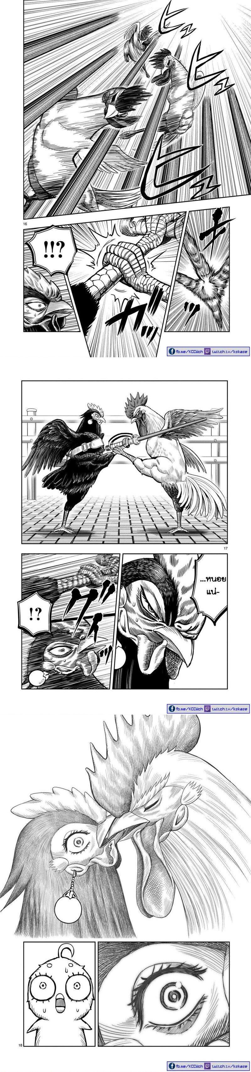 Manga-lc-com อ่านมังงะ อ่านการ์ตูน ออนไลน์ ฟรี Rooster Fighter ตอนที่ 1 2 3 4 5 6 7 8 9 10 11 12 13 14 ฟรี ไม่มีโฆษณา Manga-lc - อ่าน มังงะ อ่าน การ์ตูน ออนไลน์ อ่านมังงะ ฟรี