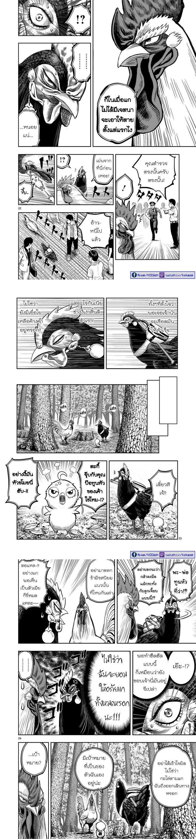 Manga-lc-com อ่านมังงะ อ่านการ์ตูน ออนไลน์ ฟรี Rooster Fighter ตอนที่ 1 2 3 4 5 6 7 8 9 10 11 12 13 14 ฟรี ไม่มีโฆษณา Manga-lc - อ่าน มังงะ อ่าน การ์ตูน ออนไลน์ อ่านมังงะ ฟรี