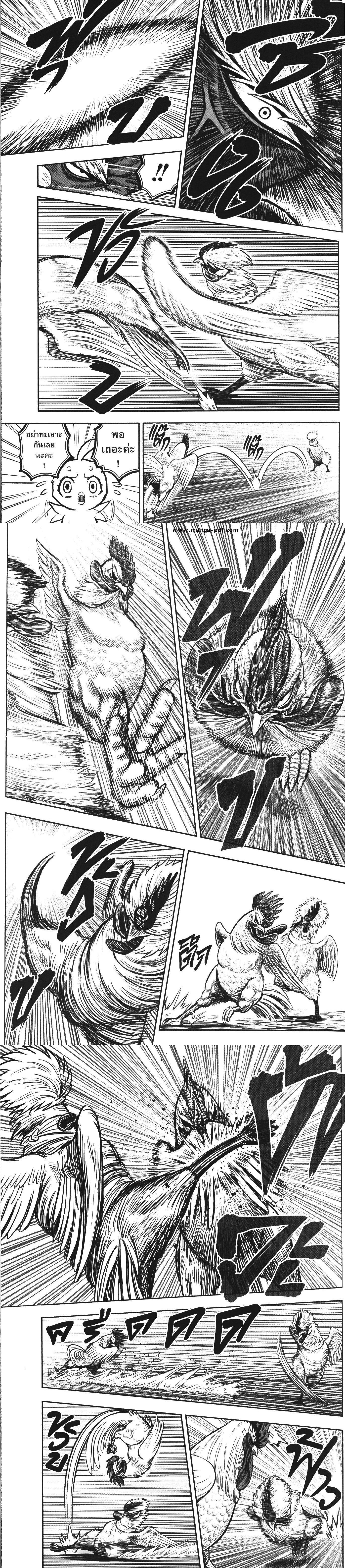 Manga-lc-com อ่านมังงะ อ่านการ์ตูน ออนไลน์ ฟรี Rooster Fighter ตอนที่ 1 2 3 4 5 6 7 8 9 10 11 12 13 14 ฟรี ไม่มีโฆษณา Manga-lc - อ่าน มังงะ อ่าน การ์ตูน ออนไลน์ อ่านมังงะ ฟรี