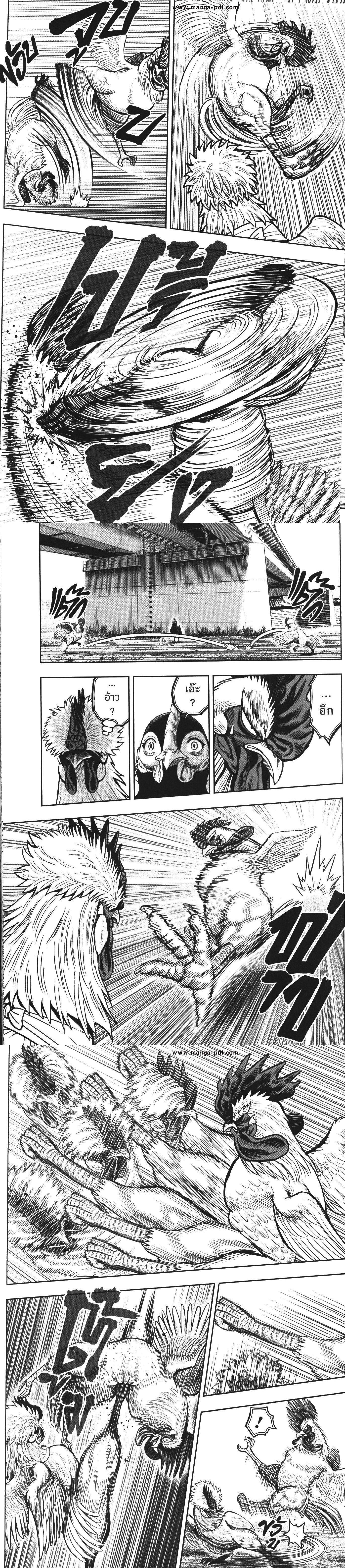 Manga-lc-com อ่านมังงะ อ่านการ์ตูน ออนไลน์ ฟรี Rooster Fighter ตอนที่ 1 2 3 4 5 6 7 8 9 10 11 12 13 14 ฟรี ไม่มีโฆษณา Manga-lc - อ่าน มังงะ อ่าน การ์ตูน ออนไลน์ อ่านมังงะ ฟรี