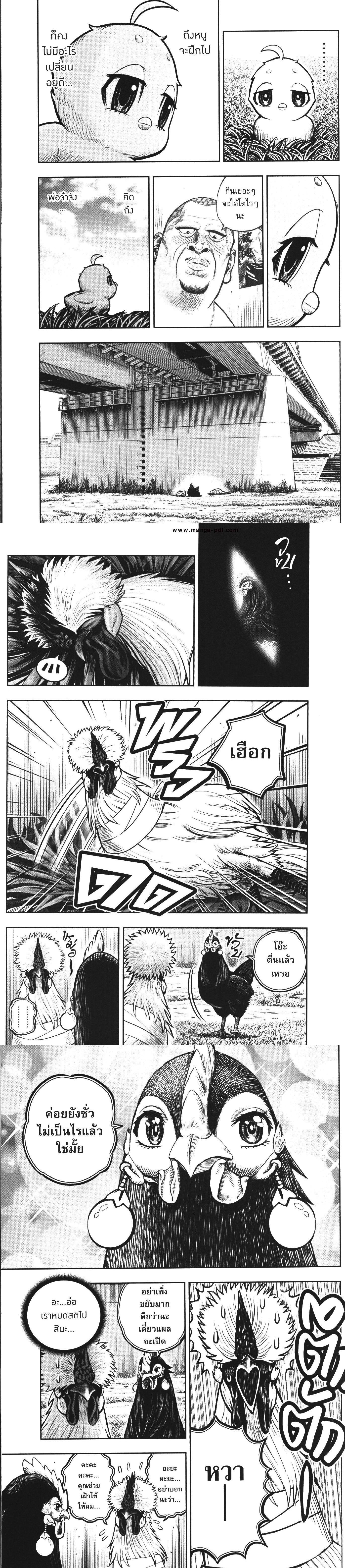 Manga-lc-com อ่านมังงะ อ่านการ์ตูน ออนไลน์ ฟรี Rooster Fighter ตอนที่ 1 2 3 4 5 6 7 8 9 10 11 12 13 14 ฟรี ไม่มีโฆษณา Manga-lc - อ่าน มังงะ อ่าน การ์ตูน ออนไลน์ อ่านมังงะ ฟรี