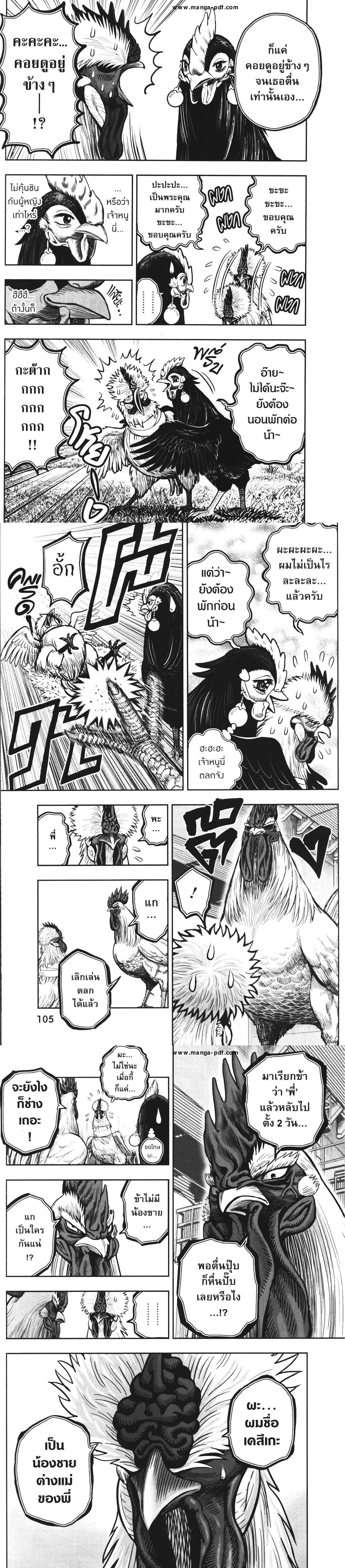 Manga-lc-com อ่านมังงะ อ่านการ์ตูน ออนไลน์ ฟรี Rooster Fighter ตอนที่ 1 2 3 4 5 6 7 8 9 10 11 12 13 14 ฟรี ไม่มีโฆษณา Manga-lc - อ่าน มังงะ อ่าน การ์ตูน ออนไลน์ อ่านมังงะ ฟรี