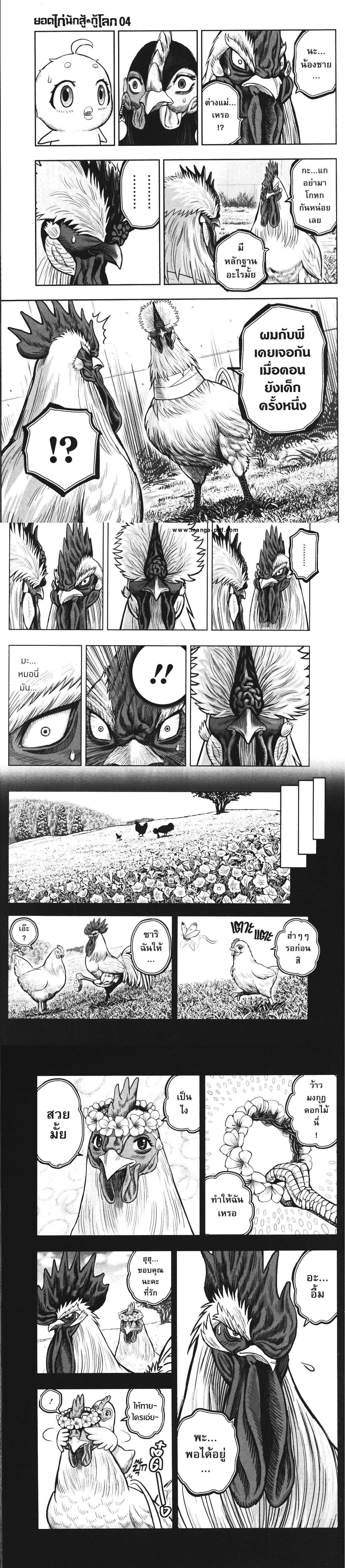 Manga-lc-com อ่านมังงะ อ่านการ์ตูน ออนไลน์ ฟรี Rooster Fighter ตอนที่ 1 2 3 4 5 6 7 8 9 10 11 12 13 14 ฟรี ไม่มีโฆษณา Manga-lc - อ่าน มังงะ อ่าน การ์ตูน ออนไลน์ อ่านมังงะ ฟรี