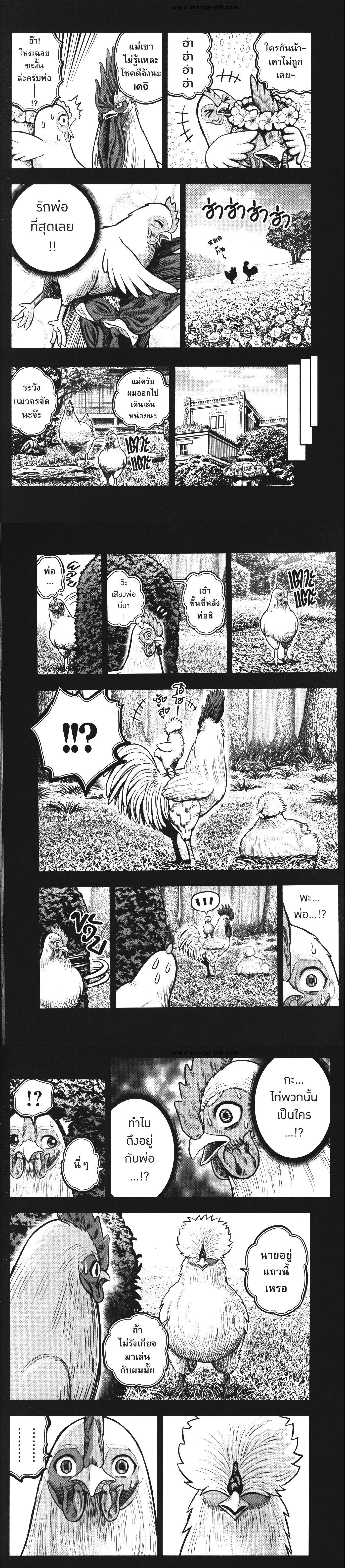 Manga-lc-com อ่านมังงะ อ่านการ์ตูน ออนไลน์ ฟรี Rooster Fighter ตอนที่ 1 2 3 4 5 6 7 8 9 10 11 12 13 14 ฟรี ไม่มีโฆษณา Manga-lc - อ่าน มังงะ อ่าน การ์ตูน ออนไลน์ อ่านมังงะ ฟรี