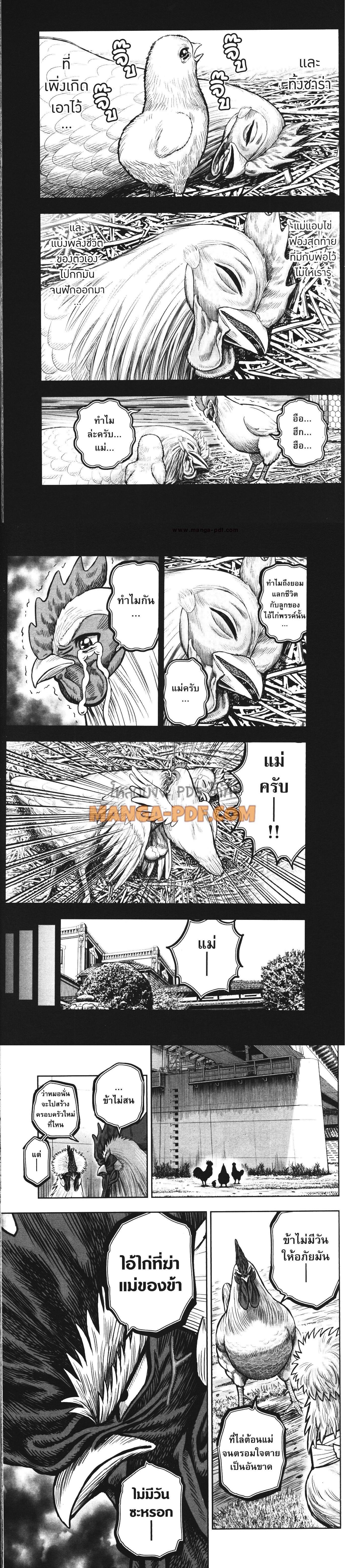 Manga-lc-com อ่านมังงะ อ่านการ์ตูน ออนไลน์ ฟรี Rooster Fighter ตอนที่ 1 2 3 4 5 6 7 8 9 10 11 12 13 14 ฟรี ไม่มีโฆษณา Manga-lc - อ่าน มังงะ อ่าน การ์ตูน ออนไลน์ อ่านมังงะ ฟรี