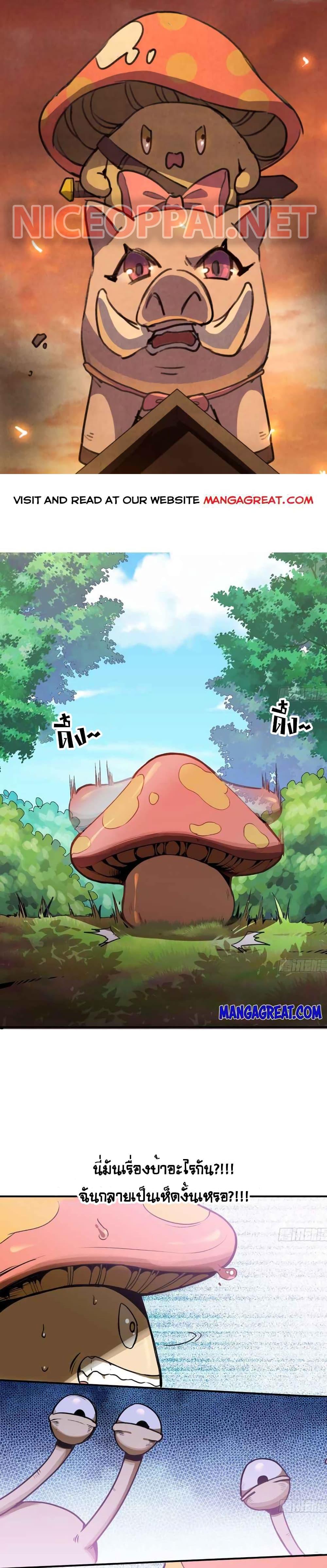 Manga-lc-com อ่านมังงะ อ่านการ์ตูน ออนไลน์ ฟรี Mushroom Brave ตอนที่ 1 2 3 4 5 6 7 8 9 10 11 12 13 14 ฟรี ไม่มีโฆษณา Manga-lc - อ่าน มังงะ อ่าน การ์ตูน ออนไลน์ อ่านมังงะ ฟรี
