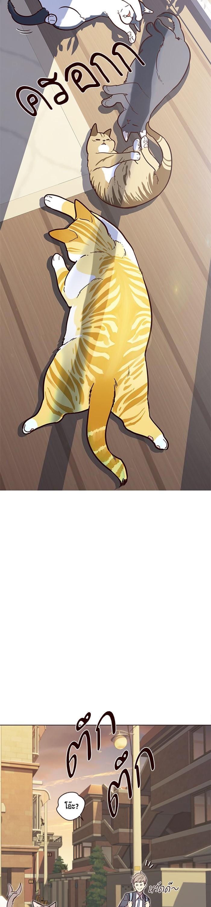 Manga-lc-com อ่านมังงะ อ่านการ์ตูน ออนไลน์ ฟรี Eleceed ตอนที่ 1 2 3 4 5 6 7 8 9 10 11 12 13 14 ฟรี ไม่มีโฆษณา Manga-lc - อ่าน มังงะ อ่าน การ์ตูน ออนไลน์ อ่านมังงะ ฟรี