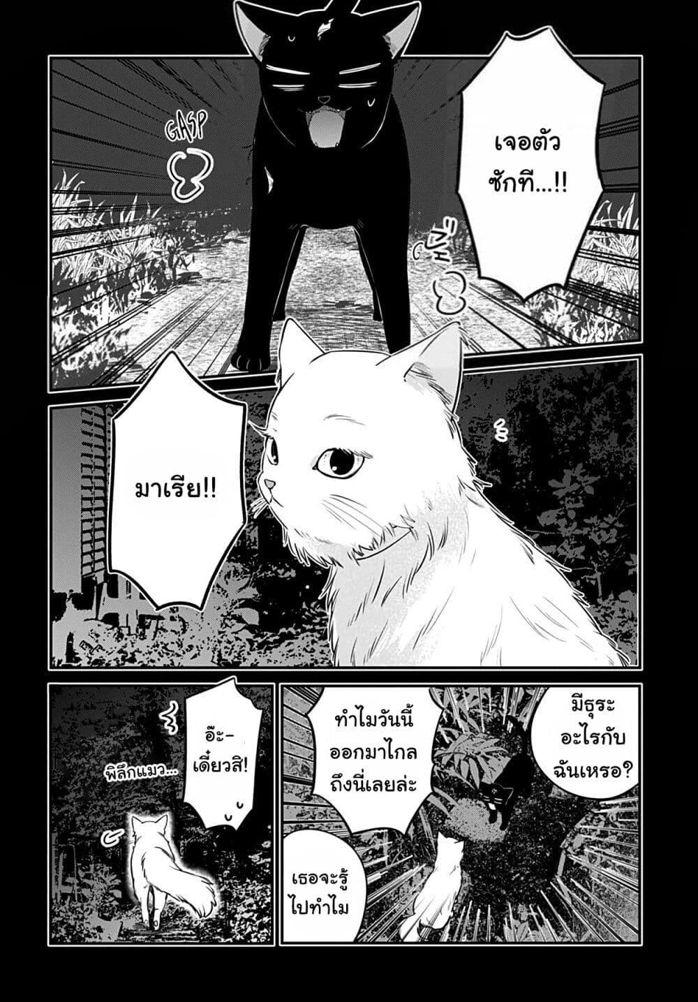 Manga-lc-com อ่านมังงะ อ่านการ์ตูน ออนไลน์ ฟรี Mi-chan wa Kawaretai ตอนที่ 1 2 3 4 5 6 7 8 9 10 11 12 13 14 ฟรี ไม่มีโฆษณา Manga-lc - อ่าน มังงะ อ่าน การ์ตูน ออนไลน์ อ่านมังงะ ฟรี