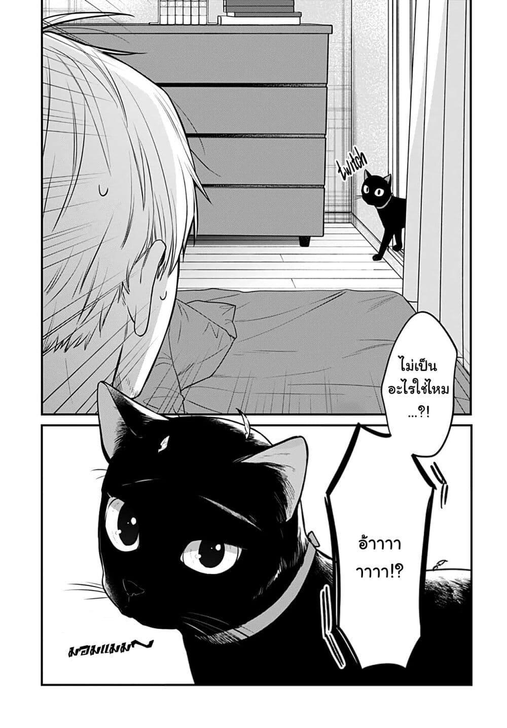 Manga-lc-com อ่านมังงะ อ่านการ์ตูน ออนไลน์ ฟรี Mi-chan wa Kawaretai ตอนที่ 1 2 3 4 5 6 7 8 9 10 11 12 13 14 ฟรี ไม่มีโฆษณา Manga-lc - อ่าน มังงะ อ่าน การ์ตูน ออนไลน์ อ่านมังงะ ฟรี