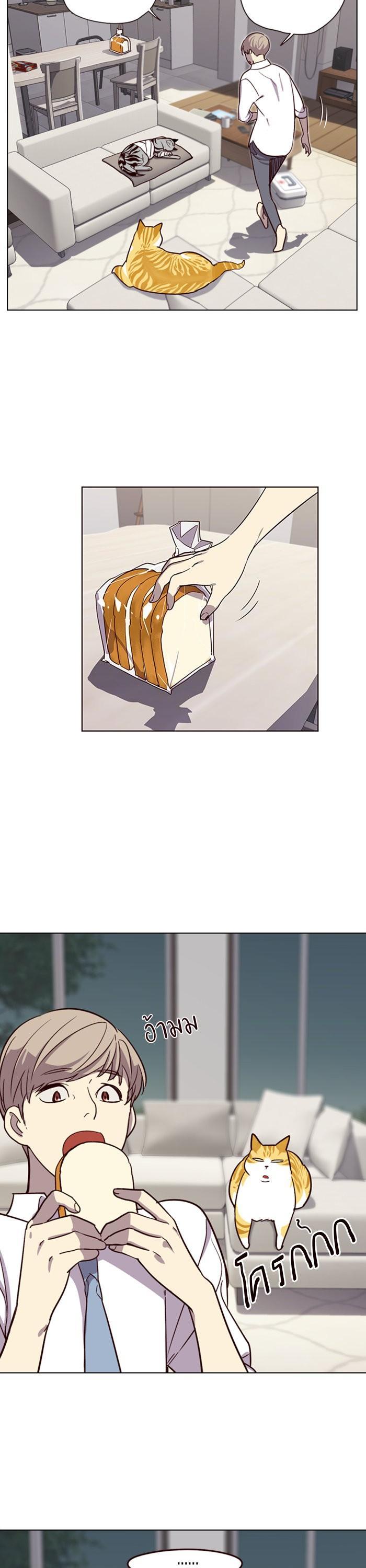 Manga-lc-com อ่านมังงะ อ่านการ์ตูน ออนไลน์ ฟรี Eleceed ตอนที่ 1 2 3 4 5 6 7 8 9 10 11 12 13 14 ฟรี ไม่มีโฆษณา Manga-lc - อ่าน มังงะ อ่าน การ์ตูน ออนไลน์ อ่านมังงะ ฟรี