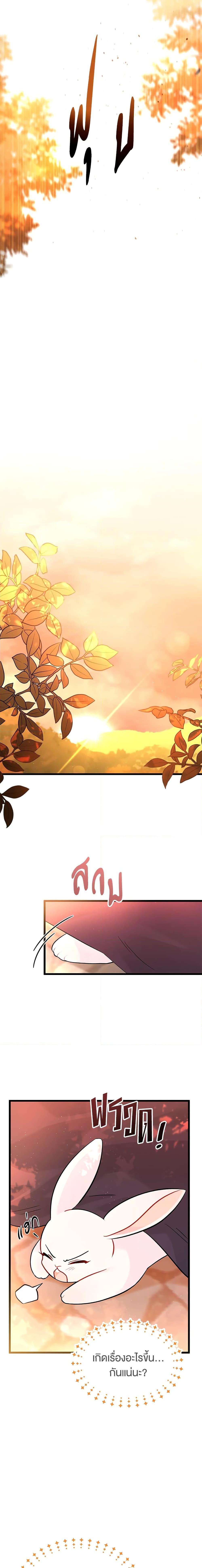 Manga-lc-com อ่านมังงะ อ่านการ์ตูน ออนไลน์ ฟรี The Symbiotic Relationship Between a Panther and a Rabbit ตอนที่ 1 2 3 4 5 6 7 8 9 10 11 12 13 14 ฟรี ไม่มีโฆษณา Manga-lc - อ่าน มังงะ อ่าน การ์ตูน ออนไลน์ อ่านมังงะ ฟรี