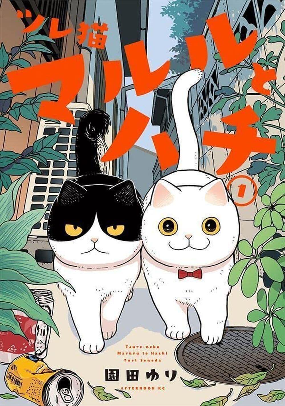 Manga-lc-com อ่านมังงะ อ่านการ์ตูน ออนไลน์ ฟรี Tsureneko – Maruru to Hachi ตอนที่ 1 2 3 4 5 6 7 8 9 10 11 12 13 14 ฟรี ไม่มีโฆษณา Manga-lc - อ่าน มังงะ อ่าน การ์ตูน ออนไลน์ อ่านมังงะ ฟรี