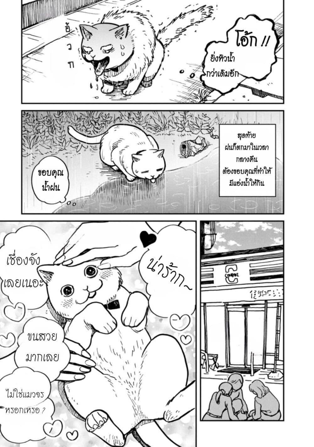 Manga-lc-com อ่านมังงะ อ่านการ์ตูน ออนไลน์ ฟรี Tsureneko – Maruru to Hachi ตอนที่ 1 2 3 4 5 6 7 8 9 10 11 12 13 14 ฟรี ไม่มีโฆษณา Manga-lc - อ่าน มังงะ อ่าน การ์ตูน ออนไลน์ อ่านมังงะ ฟรี