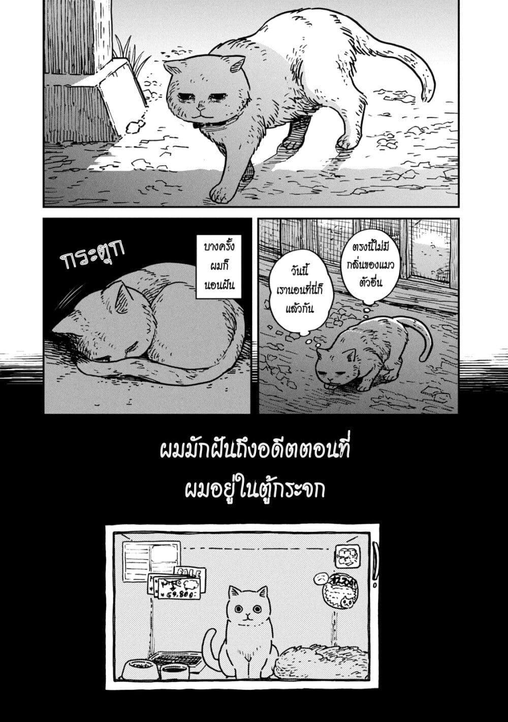 Manga-lc-com อ่านมังงะ อ่านการ์ตูน ออนไลน์ ฟรี Tsureneko – Maruru to Hachi ตอนที่ 1 2 3 4 5 6 7 8 9 10 11 12 13 14 ฟรี ไม่มีโฆษณา Manga-lc - อ่าน มังงะ อ่าน การ์ตูน ออนไลน์ อ่านมังงะ ฟรี